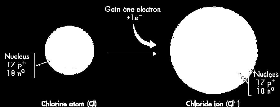 22 63 Periodic Trends > Ions Atoms of nonmetals, such as chlorine, tend to form ions by gaining one or more electrons In a chloride ion, the number of electrons (18)