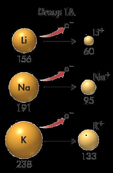 63 Periodic Trends > Trends in Ionic Size Group Trends in Ionic Size For each of these elements, the ion is much smaller than the atom The radius of a sodium ion (95 pm) is about half the radius of