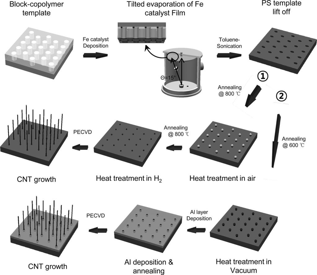SWNT Arrays Via Block Copolymer Lithography Chem. Mater., Vol. 21, No. 7, 2009 1369 Figure 1. Schematic diagram of the synthetic processes for vertical SWNT arrays.