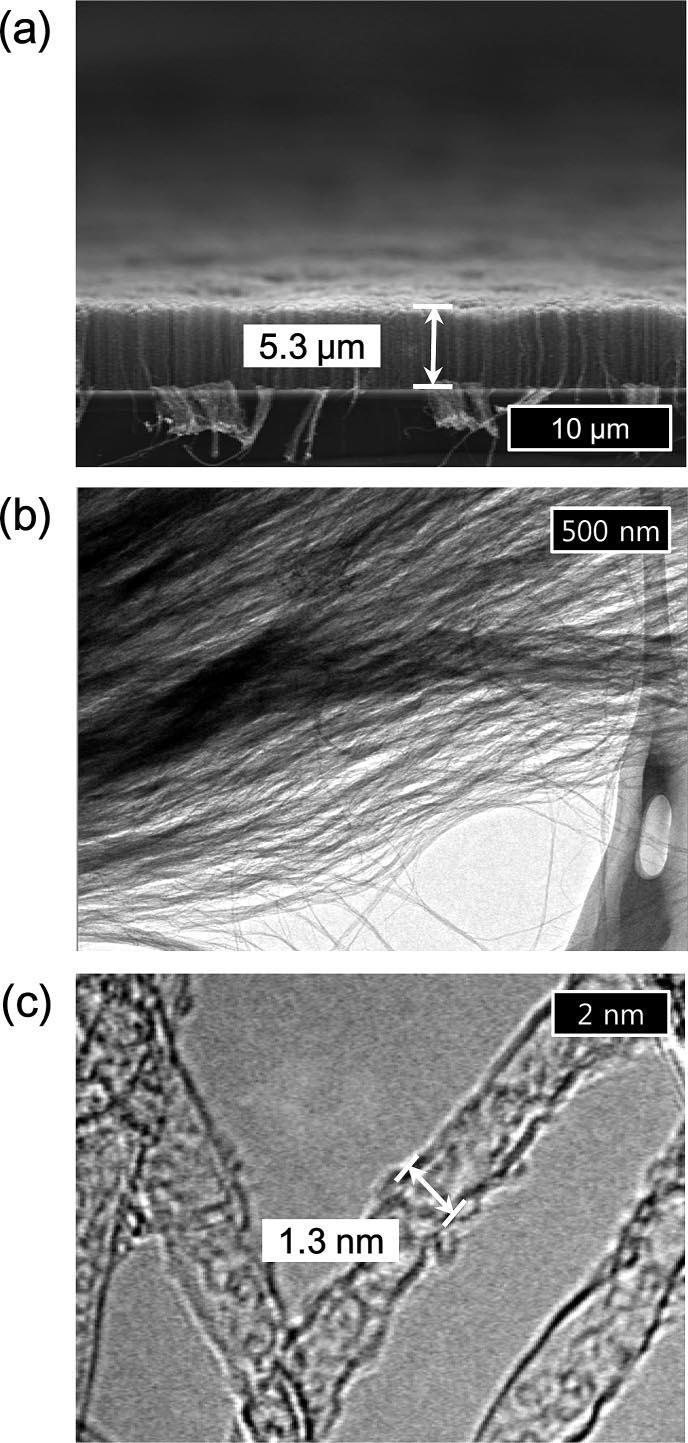(a) Cross-sectional SEM and (b and c) TEM images of the SWNT arrays grown from the catalyst array prepared by method i (sequentially heat treated at 800 C in air for 30 min and in an H 2 atmosphere