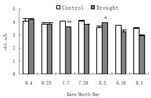Table1. Pearson correlation between the Pn and ETR of functional leaves under drought and control treatments items Pn- Drought ETR- Dought Pn-Control ETR-Control Pn-Dought 1.000 ETR-Dought 0.907* 1.