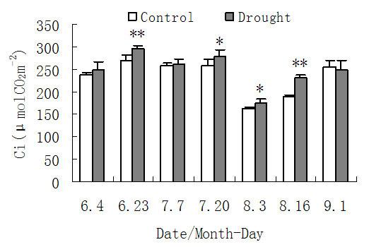 drought treatment, but only one peak was detected under control condition (Fig.4).