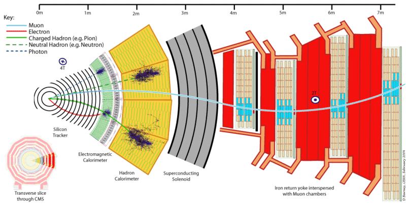 1. Introduction This experiment is designed to give you basic knowledge about the working principles of particle detectors. Figure 1.1 shows a cross-sectional view of the Compact Muon Figure 1.1.: Cross-sectional view of the CMS detector.