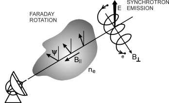 7 2.4 Faraday rotation and Faraday depolarization The linearly polarized radio wave is rotated by the Faraday effect in the passage through a magnetoionic medium (Fig. 1).