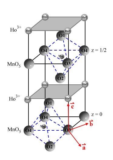 Ultrafast dynamics in HoMnO 3 Hexagonal HoMnO 3 MnO 5 bipyramids form a layered structure on a b plane.