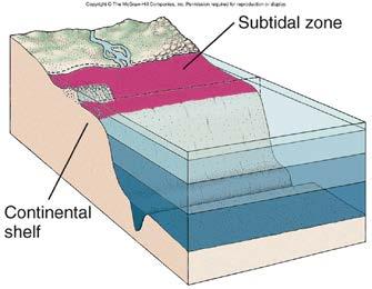 Life on the Continental Shelf (Subtidal Zone) (Chapter 13) I. Continental Shelf (Subtidal Zone) A.