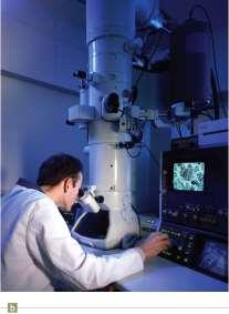 Electron Microscope The electron microscope relies on the wave characteristics of