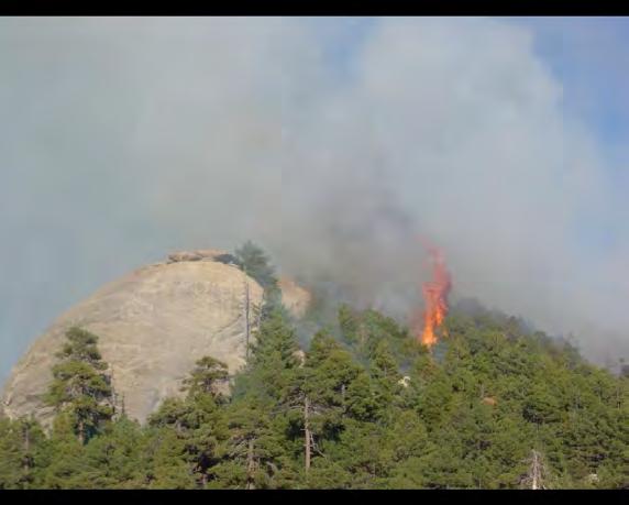 Fire in Rincon Mountains and other Sky Islands Historic fire return interval ~