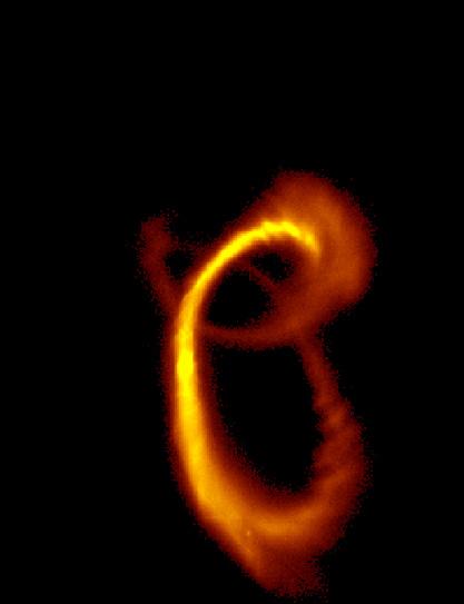 Structure of Self-Gravitating Stellar Tidal tails Structure of tidal