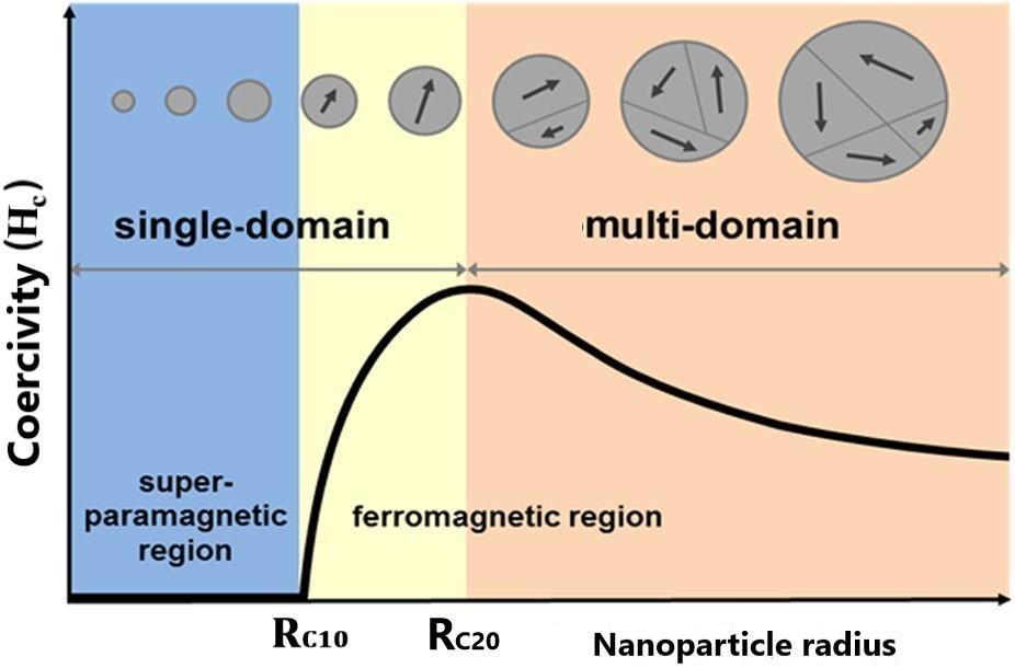 coercive field is associated with the transition from the multi-domain to the single-domain structure which has uniform magnetization in which all magnetic moments are nearly aligned in the same
