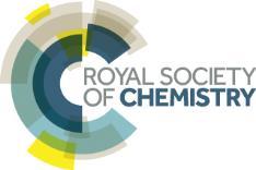 Electronic Supplementary Material (ESI for Polymer Chemistry. This journal is The Royal Society of Chemistry Please do 216 not adjust margins ARTICLE Supplementary Information T. Ebert, a A.