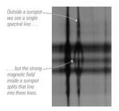 The Zeeman Effect We can detect magnetic fields in sunspots by observing the splitting of spectral lines The Sun s magnetic field is essentially the same as an
