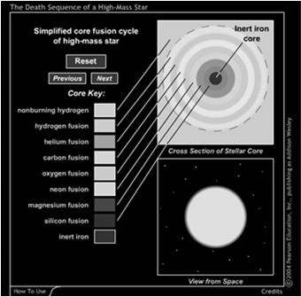 Life Stages of High Mass Stars Main sequence life of high mass stars is similar to low mass stars: Hydrogen core fusion (main sequence), but faster Early stages after main sequence are similar for