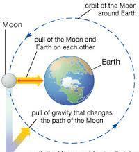 Every mass has its own gravitational field but it takes two objects to make a gravitational force.