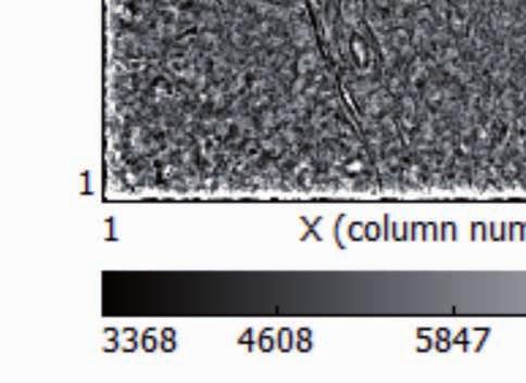 µm µm 25.05.