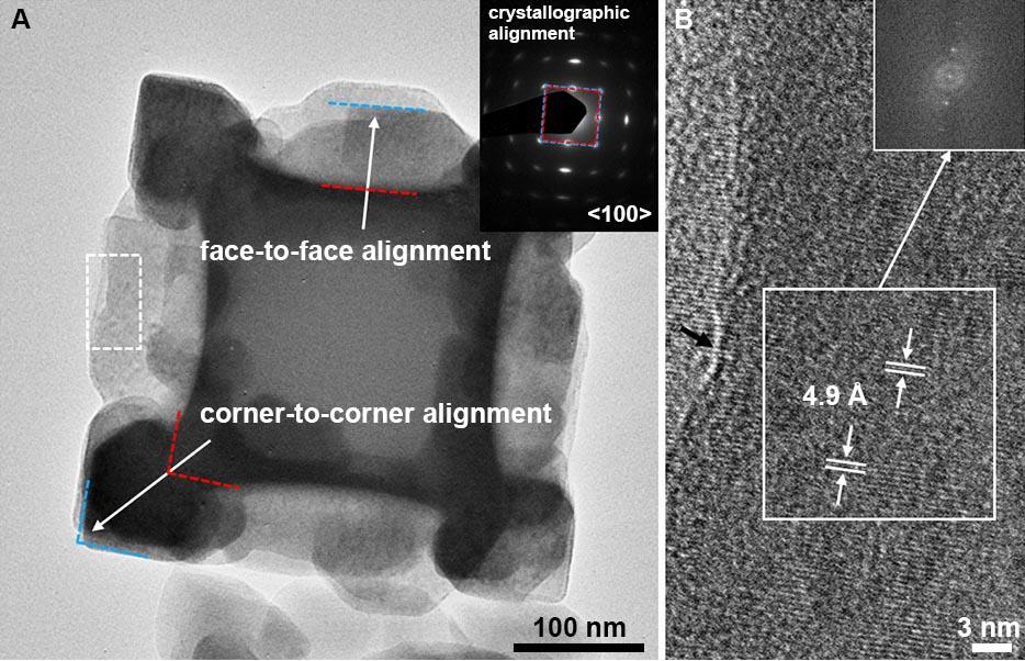 fig. S9. TEM and HRTEM images of a typical core@satellite superstructure. (A) TEM image. Red and blue dashed lines delineate a typical side face and a corner of the core and the NCB, respectively.