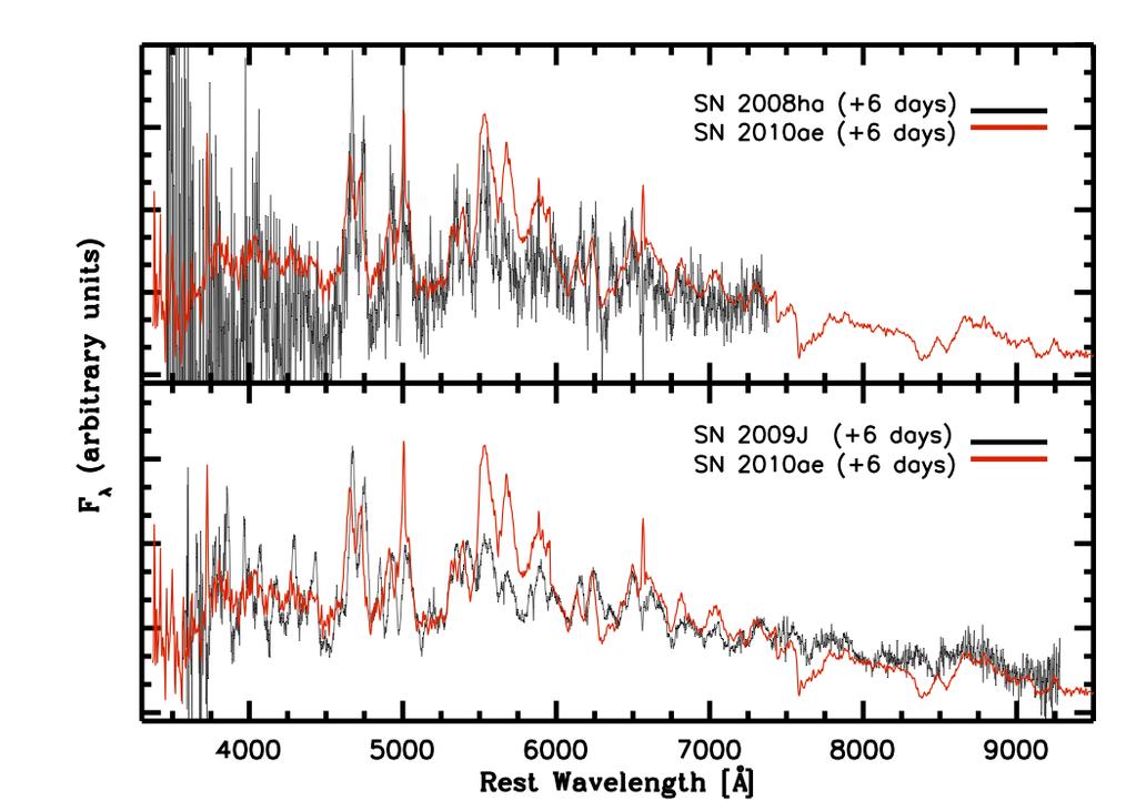 Low Luminosity SNe SN2008ha-like objects: CSP observed SN2008ae, SN2008ha, SN2008ge (Foley et