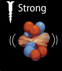 overcomes this repulsion Strong force: the interaction that binds nucleus together Nuclear force