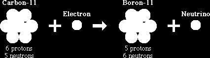 Since an atom loses a proton during electron capture, it changes from one element to another.