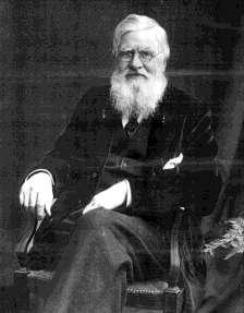 Alfred Russel Wallace 19 th century Simultaneously to Darwin postulated the evolutionary theory: Survival of the Fittest
