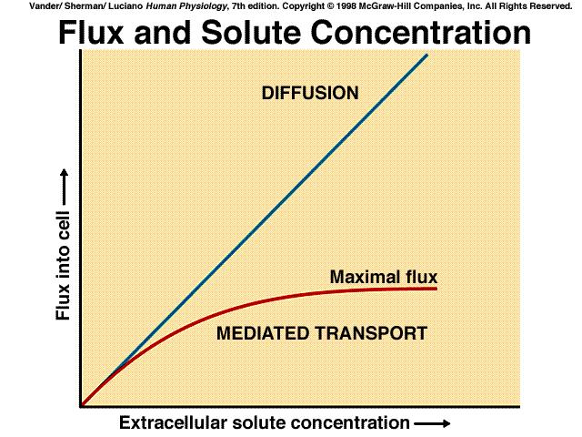 Functions ( facilitated diffusion ) (e.g.