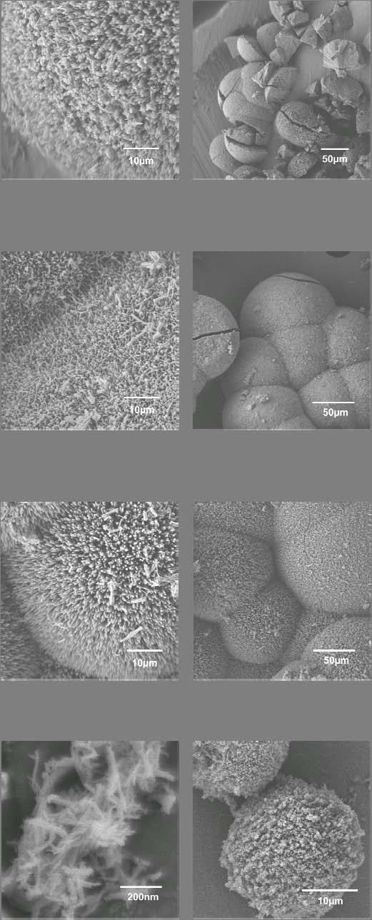 Fig. S14. SEM images, with different scales, reveal single-phase morphology of IRMOF-74-III.