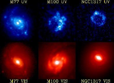 The ultraviolet light (top row) shows new stars that many times more massive than the sun, which glow strongly in ultraviolet light.