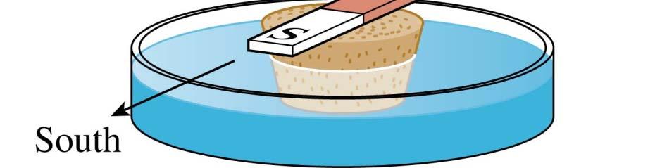Magnetism Tape a bar magnet to a piece of cork and allow it to float in a dish of water.