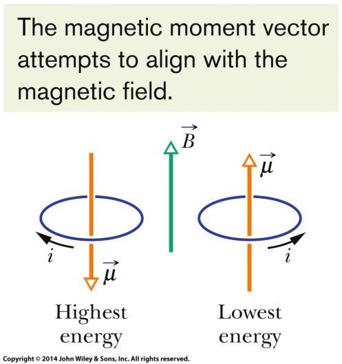 28-8 The Magnetic Dipole Moment A coil (of area A and N turns, carrying current i) in a uniform magnetic field B will experience a torque τ given by where μ is the magnetic dipole moment of the coil,