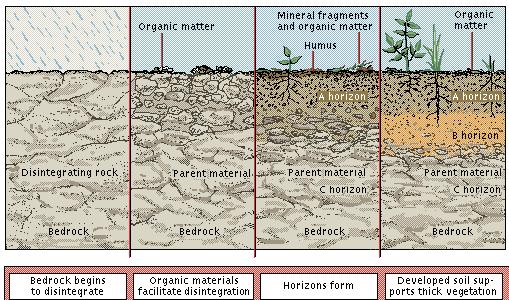 Soil Formation Rock chemically breaks