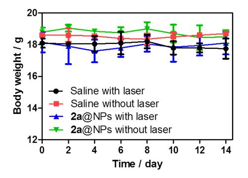 fig. S13. Photothermal performance in vivo of 2a@NPs.