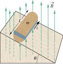 5. Figure 8-44 shows a wood cylinder of mass m =.5 kg and length L =. m, with N =.