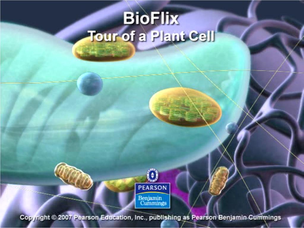 BioFlix: Tour