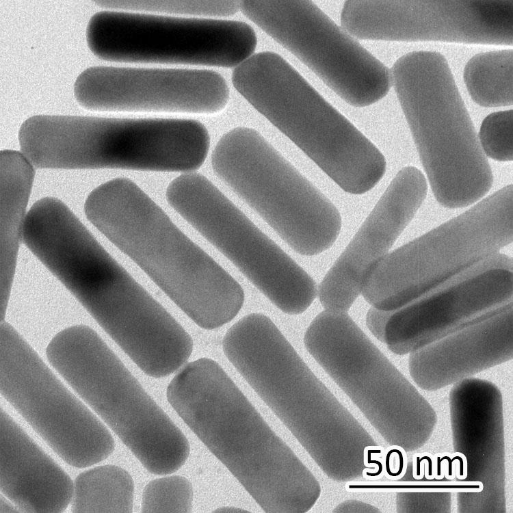Figure S1. TEM image of Au nanorods.