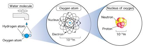A nucleus is made up of protons and neutrons E = mc 2 + e 0 - e 1.