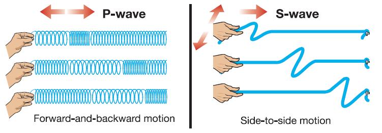 19.1 Wave motion *Two type of seismic waves that are important are primary and secondary waves.