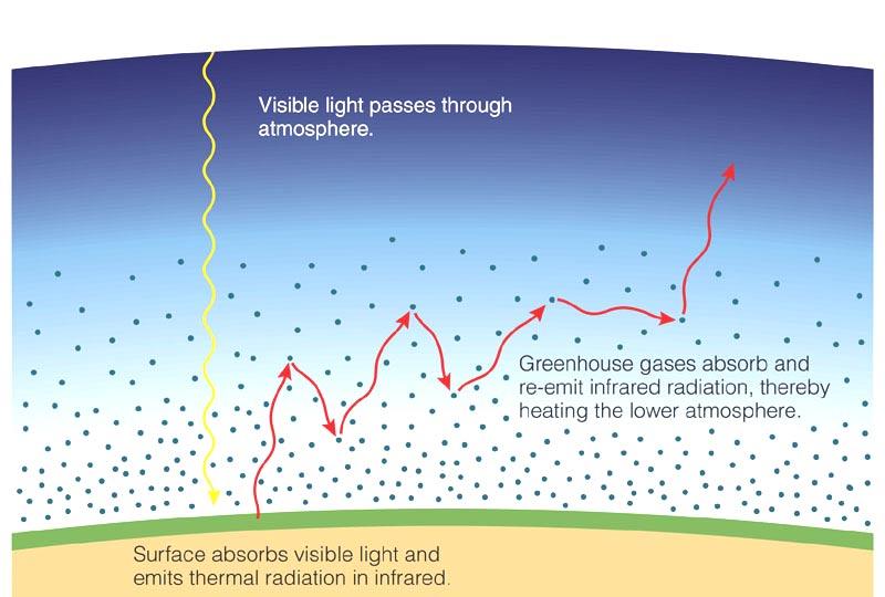 Greenhouse Effect [Fig 7.14] Incoming sunlight passes through atmosphere. Absorbed by ground.