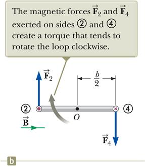 Torque on sides 2 and 4 of the current loop, The magnitude of the magnetic force on side 2 and side 4 is : F 2 = F 4 = I a B The direction of F 2 is out of the page.