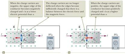 This accumulation of charge establishes an electric field in the conductor. It increases until the electric force balances the magnetic force.