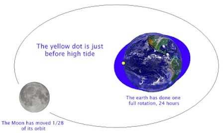 The bulge of water on the left side of the earth is created because that is the direction in which the moon is pulling.