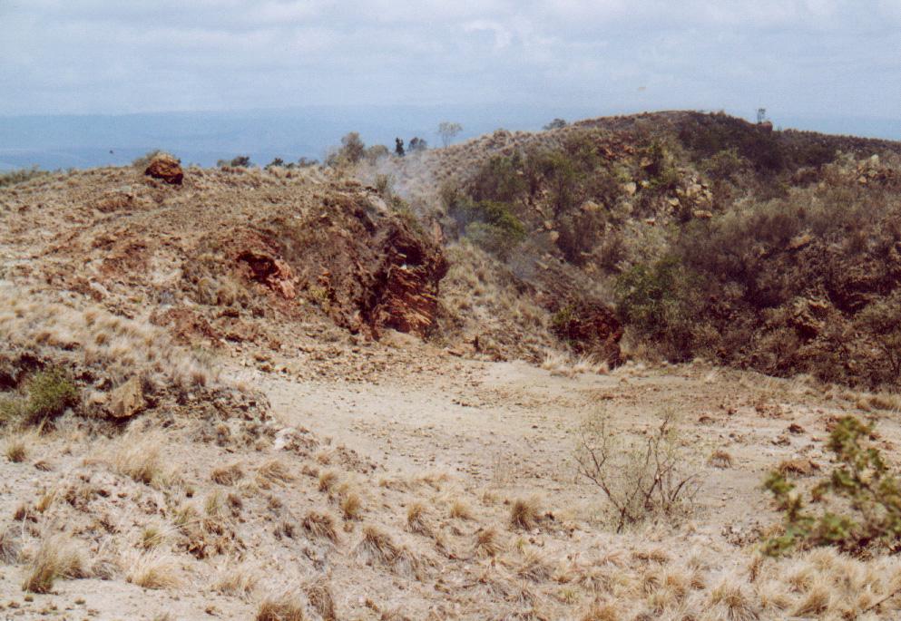 Longonot Area is underlain mostly of pyroclastic materials consisting of ash and pumice while the OVC is mostly covered with volcanic rocks consisting of alkali rhyolites, pyroclastic deposits and