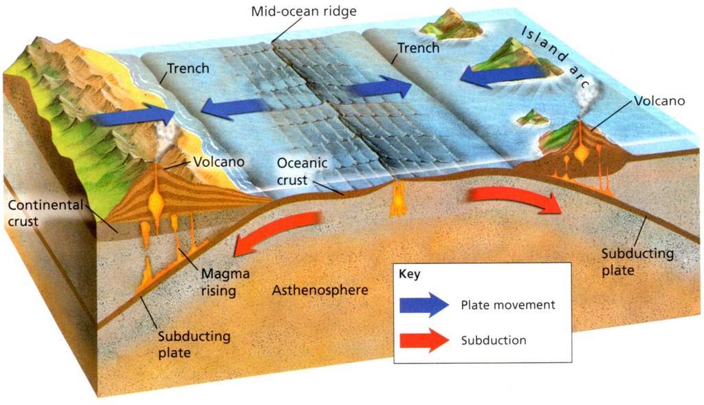 oceanic plate under oceanic plate - creates an island arc (string of islands) Japan, New Zealand,