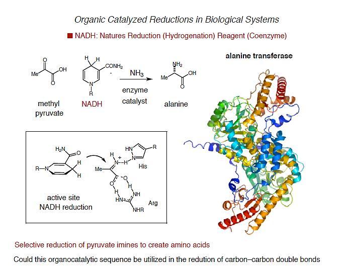 Organic Catalyzed Reduction in Biological