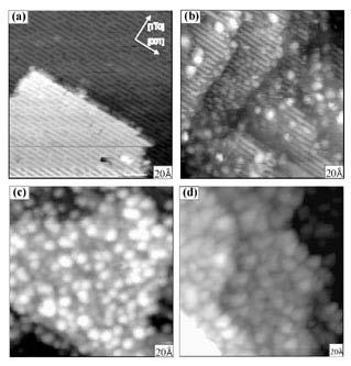Single crystalline Titanium oxide: doping of vanadium STM images obtained for (a) clean