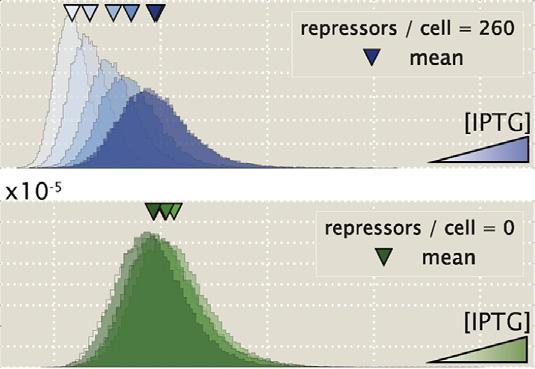 Mean expression is then quantified at different IPTG concentrations (top, blue histograms) and for a strain without repressor (bottom, green histograms), which shows no response to IPTG as expected.