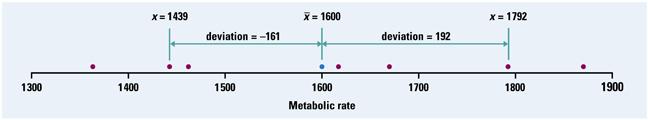 A person s metabolic rate is the rate at which the body consumes energy. Metabolic rate is important in studies of weight gain, dieting, and exercise.