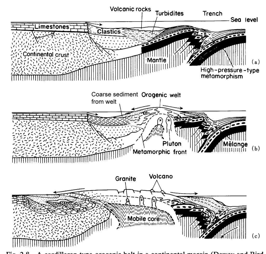 Orogenic Metamorphism The Types of Metamorphism Figure 21.6. Schematic model for the sequential (a c) development of a Cordilleran-type or active continental margin orogen.