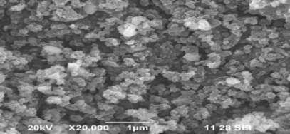 1 Surface Morphological study of Cu(MnO2)2, MnO2 and Ag(MnO2)by XRD and SEM 3.1.(a )Cu(MnO2)2 nanoparticles: X-ray diffraction study of Cu(MnO2)2 nanoparticles synthesized by hydrothermal method was observed to be in purely crystalline in nature.