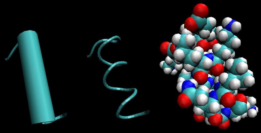 7 Figure 3. α-helices, rendered three different ways. Figure 3 shows α-helices rendered three different ways. On the left is a typical cartoon rendering, in which the helix is depicted as a cylinder.