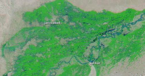 Before and After the Flood Event 25 km August 8, 29 Satellite image of the Indus River on